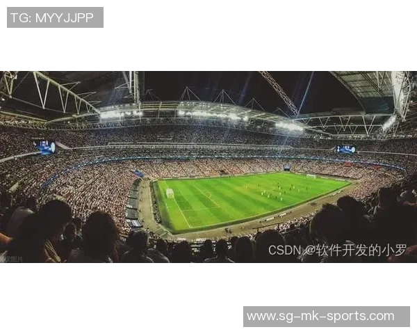 探索ds足球球币的价值与未来发展潜力分析 探索ds足球球币的价值与未来发展潜力分析